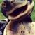 Paul G Anderson's profile image