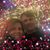 Martha Sykes Kloosterman's profile image