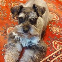 Sarah Keith's profile image