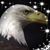 Chuck Hoy's profile image