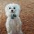 Janet Broders's profile image