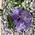 Melissa Betty's profile image