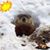 Patricia N Jerry Lellock's profile image