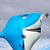 Rob Paul's profile image