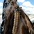 Terri C.'s profile image