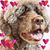 Valerie Polychronopoulos's profile image