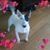 Diana Towles's profile image