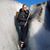 Bethani Pate's profile image