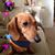 Kathleen Parham's profile image