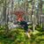 Jenny Gratiot's profile image