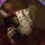 Bob Beaupre's profile image