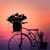 Debbie Miller Letourneau's profile image