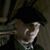 James Thomas Williamson's profile image