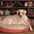 Cindy Beadle Klebusch's profile image