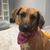 Amy Schuster-Borzymowski's profile image