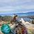 Elmer Briones's profile image