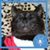 Judy Schenck's profile image