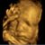 Amy McDurmont McCann's profile image