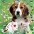 Holly Shillabeer Pastor's profile image