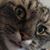 Jessica Reimer's profile image