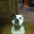 Melanie Wilkerson's profile image