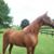 Connie Kirwer's profile image