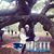 Niki Galyen's profile image