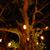 Tina Williams's profile image