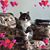 Kim Rayburn-Schaefer's profile image