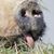 Steve Powell's profile image