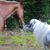Joyce Pomfret Maxwell's profile image