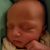 Shannon Liverman Harrell's profile image