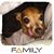 Amy Williams's profile image