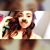 Julianne Soto's profile image