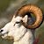 Chris Crawford's profile image