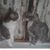 JuJu Molly Gousse-Mackey's profile image