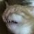 Andrzej Herman's profile image