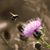 Kathy Jarvis Kimzey's profile image