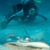 Cynthia Marshall's profile image