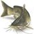 Jennifer Harless Vickers's profile image