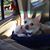 Ki Riede Xiong's profile image