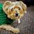 Deborah Olson's profile image
