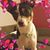 Nadine DeHaven's profile image