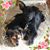 Teri Neff's profile image