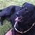 Bella Passeos's profile image