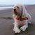 Laurie Labuda's profile image
