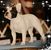 Debbie Ecarius Herrst's profile image