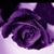 Deanna Chavers's profile image