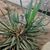 Pam Smith's profile image