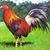 Doroteo Villa's profile image